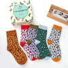 Lot de 5 chaussettes montantes léopard avec coffret Tites Chaussettes