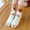 Chaussettes hiver molletonnées longues en coton à motif patte de chats pour femmes | Chaussettes douces et confortables | Fabriquées à partir de matériaux de haute qualité | Un cadeau parfait pour les femmes de tous âges | Disponibles en différentes tailles et couleurs