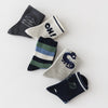 Lot de 5 chaussettes enfants garçon. Coloris bleu/gris/vert. Motif dinosaure. 