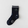 Lot de 5 chaussettes enfants garçon. Coloris bleu/gris/vert. Motif dinosaure. 